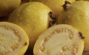 Vitamina C